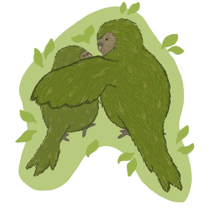 Kakapo editorial