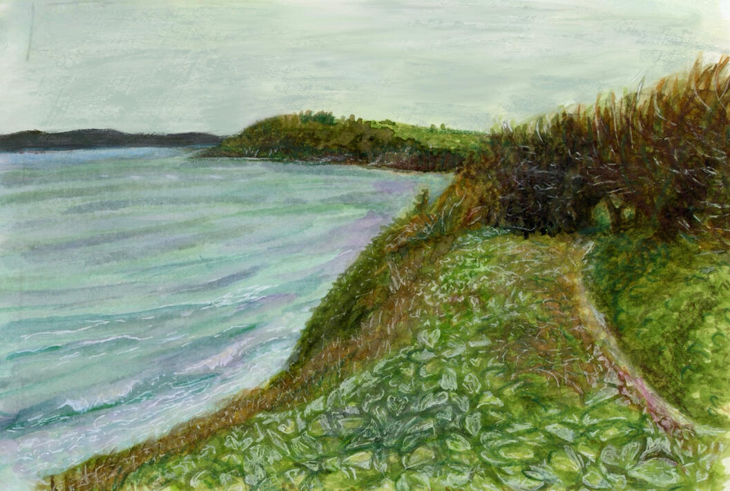 Walk to Swanpool beach